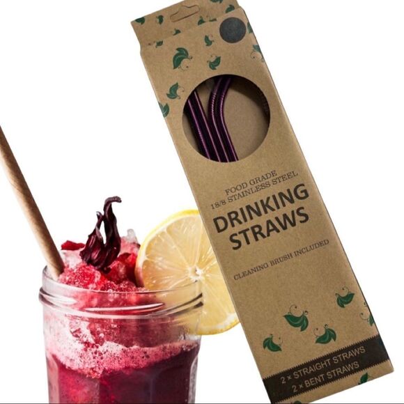 Stainless Steel Drinking Straws • Set of 4 • NWT - Picture 1 of 5